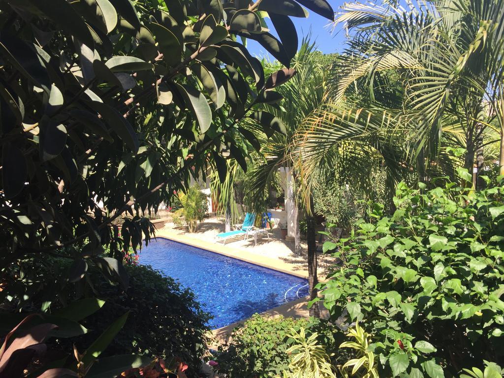 Hotel Flores (Adults Only) Tamarindo Eksteriør billede