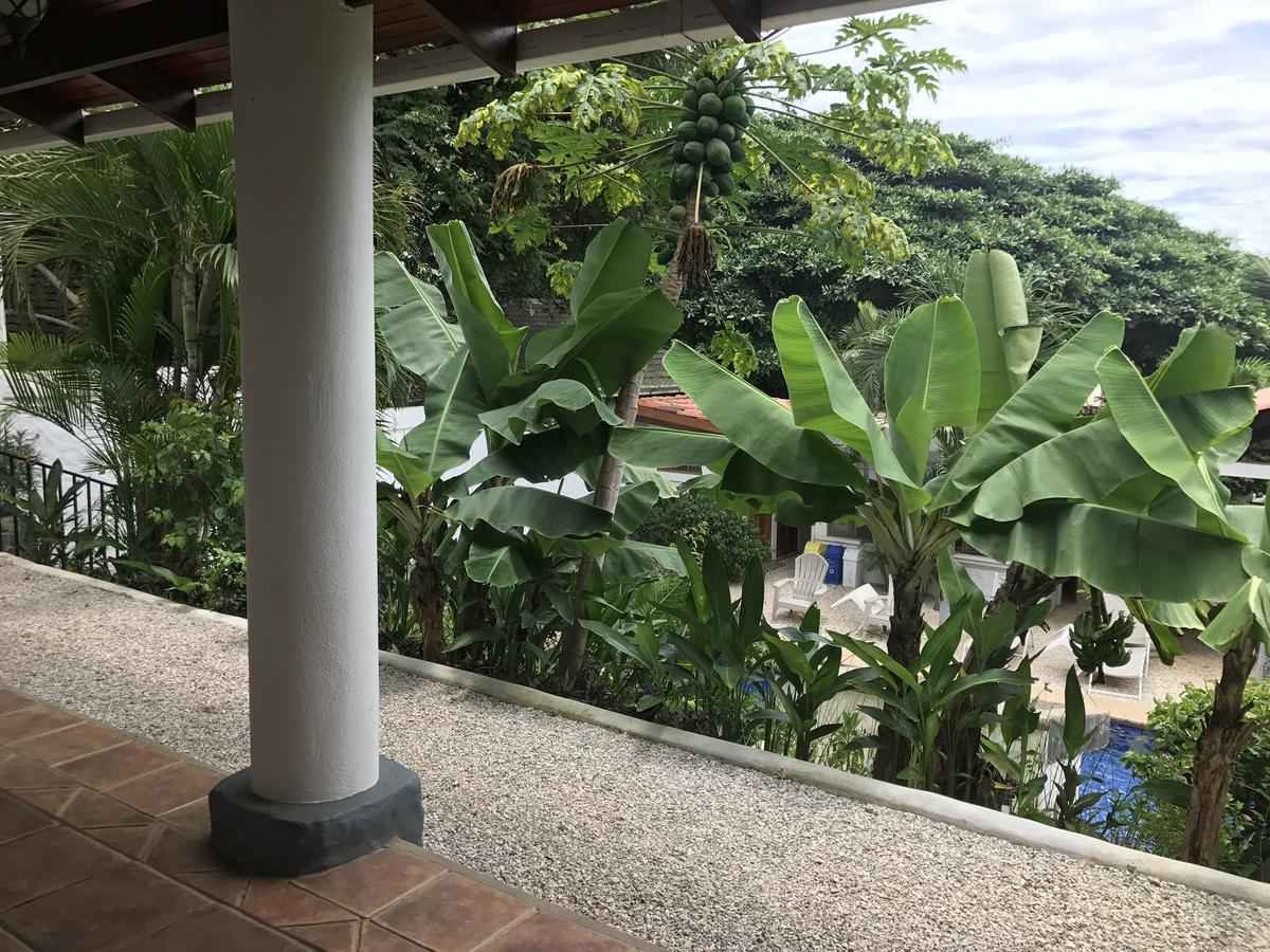 Hotel Flores (Adults Only) Tamarindo Eksteriør billede